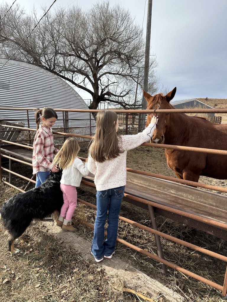 Kids at the fence with a horse